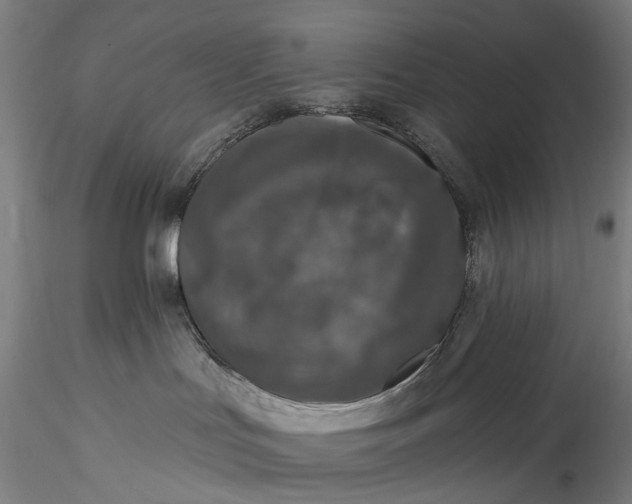 X0000115550047200911271444