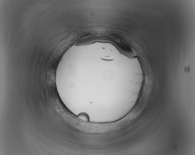 X0000115550048200911271444