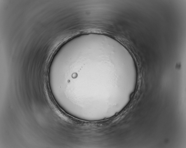 X0000115550049200911271443