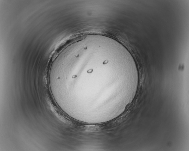 X0000115550050200911271443