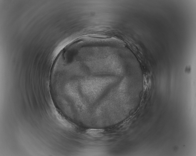 X0000115550051200911271443