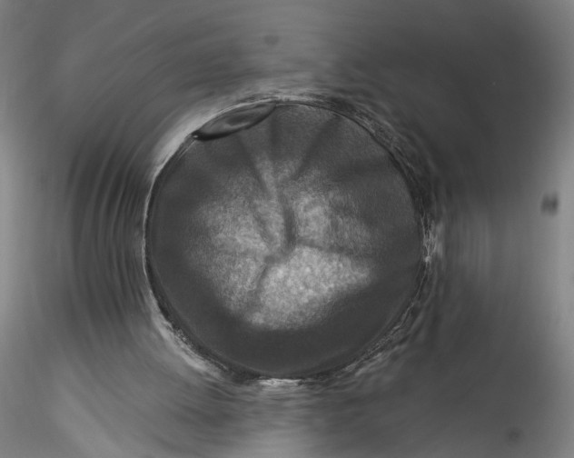 X0000115550052200911271443