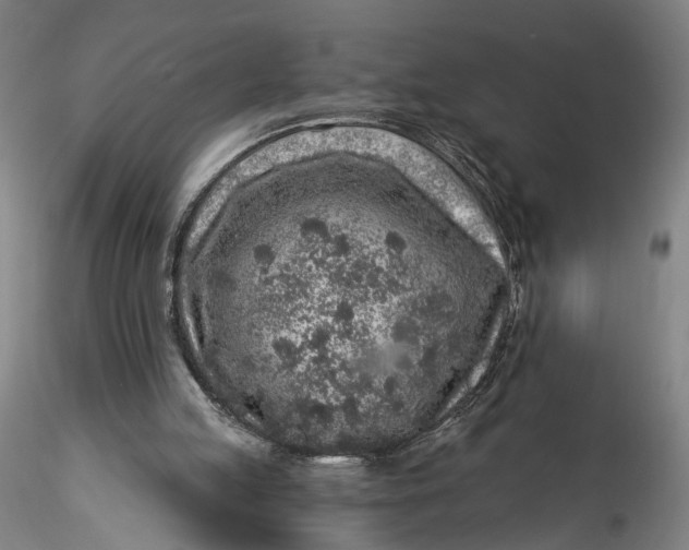 X0000115550053200911271443