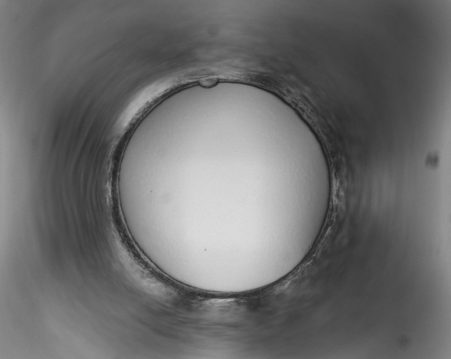 X0000115550054200911271443