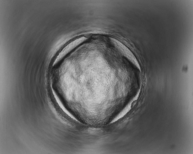 X0000115550055200911271443