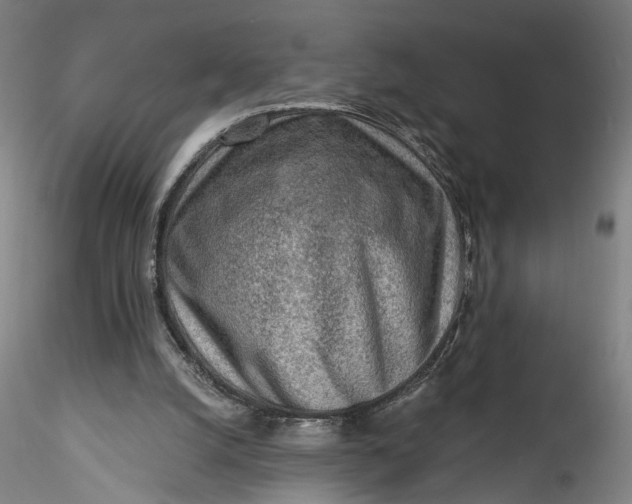 X0000115550056200911271443