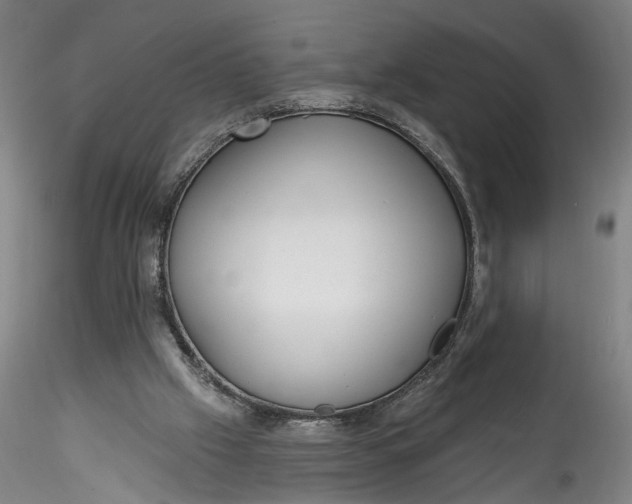 X0000115550057200911271443