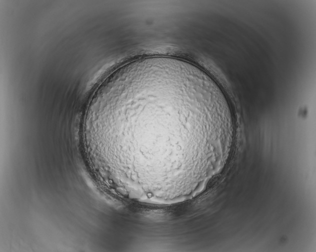 X0000115550058200911271443