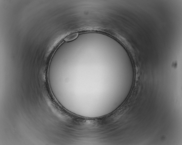 X0000115550060200911271443