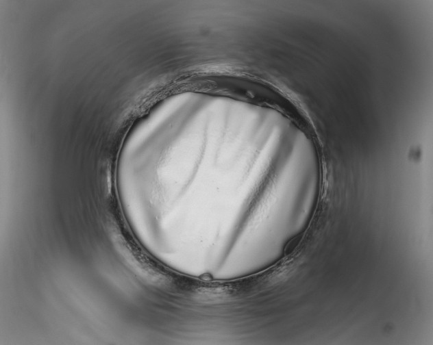 X0000115550061200911271443