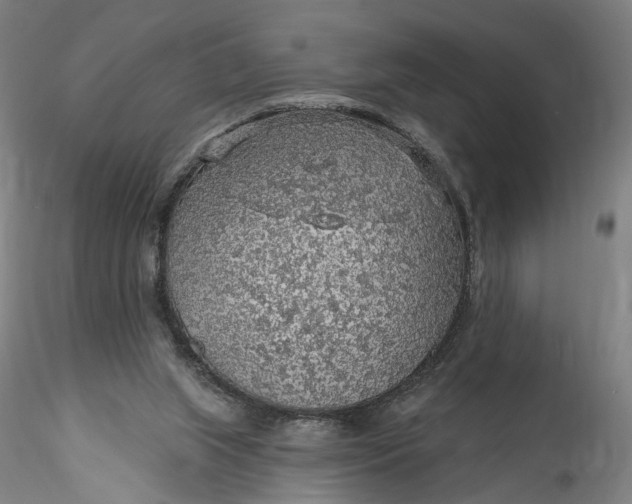 X0000115550063200911271443