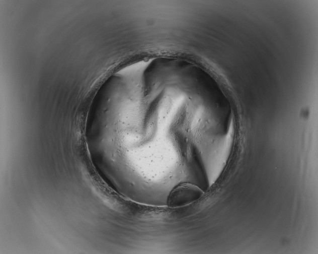 X0000115550065200911271443