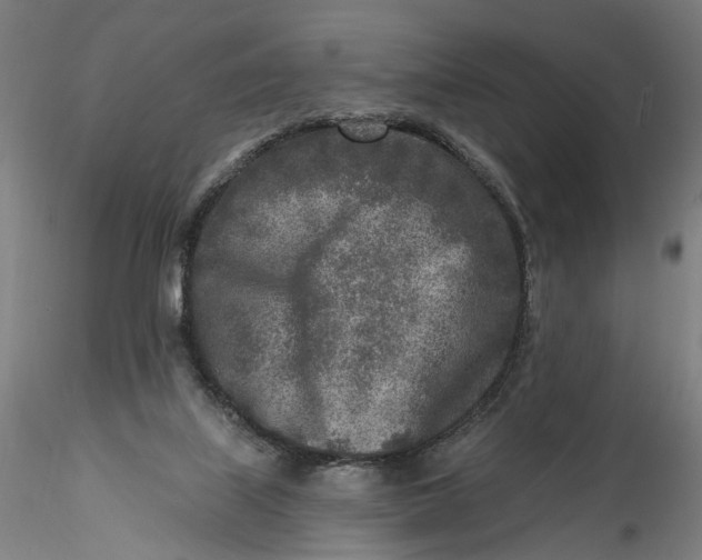 X0000115550067200911271443