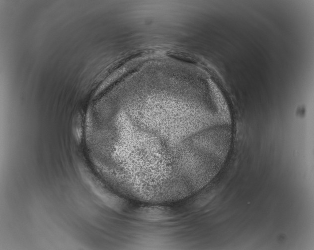 X0000115550069200911271443