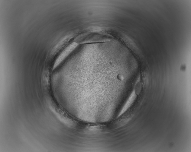 X0000115550072200911271443