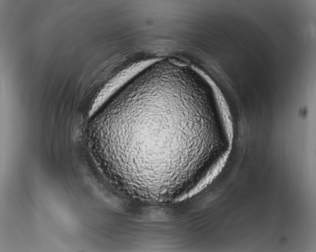 X0000115550073200911271443