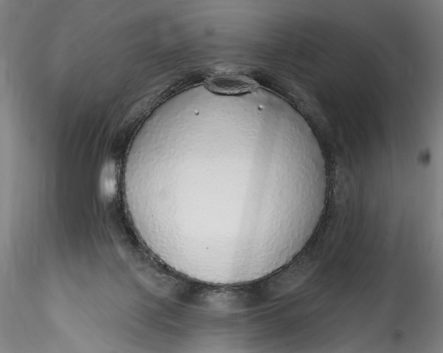 X0000115550075200911271443