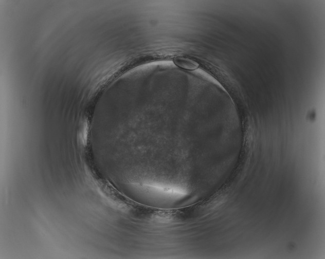 X0000115550076200911271443