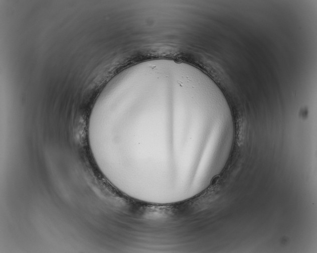 X0000115550077200911271443