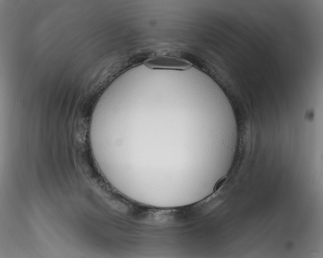 X0000115550078200911271443