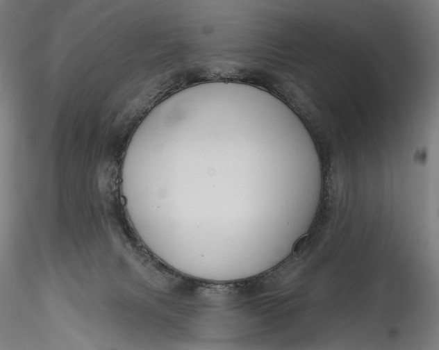 X0000115550079200911271443