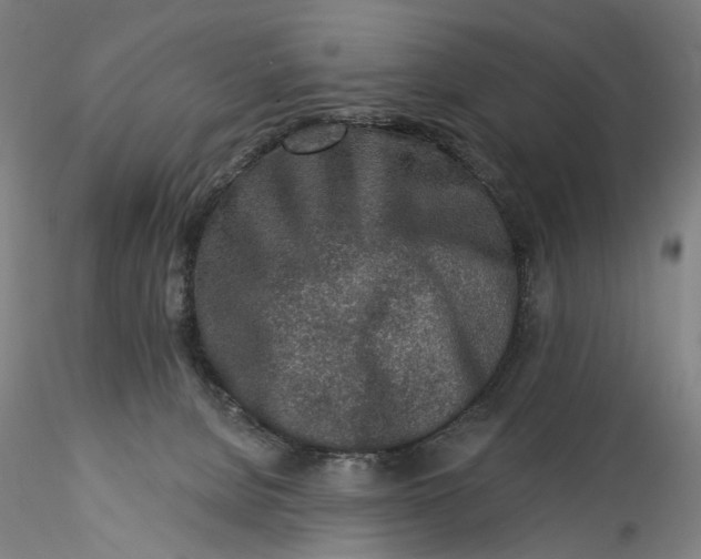 X0000115550080200911271443