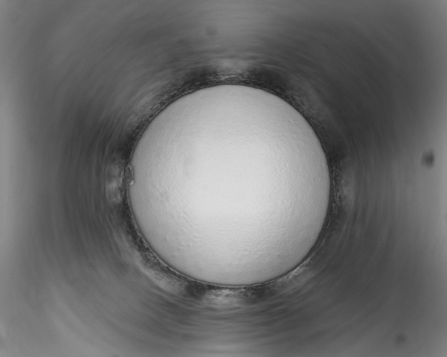 X0000115550082200911271443