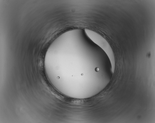 X0000115550084200911271444