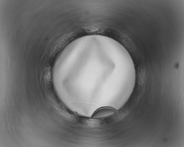 X0000115550085200911271444