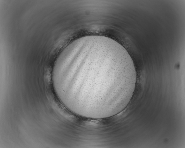 X0000115550086200911271444