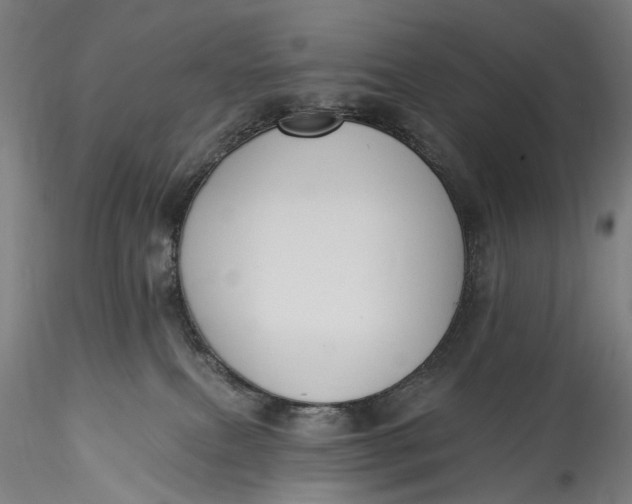 X0000115550087200911271444