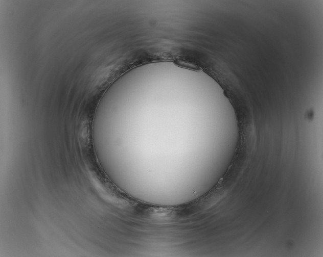 X0000115550088200911271444