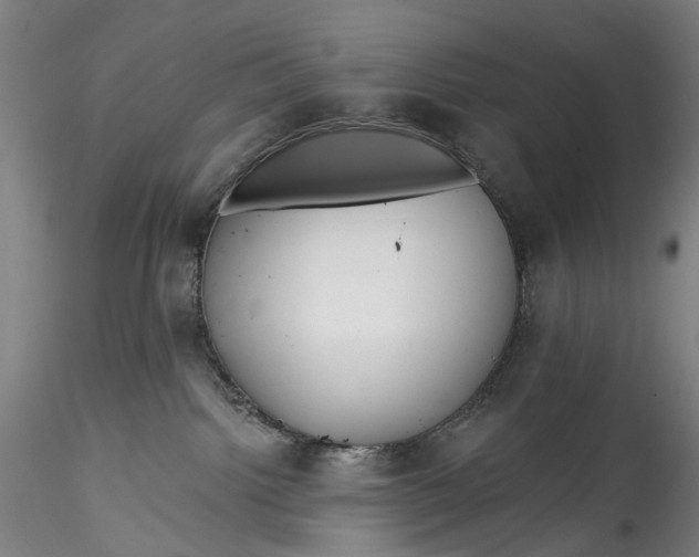 X0000115550092200911271444