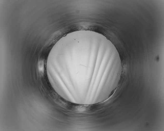 X0000115550094200911271444