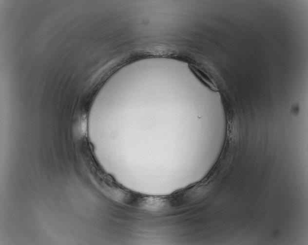 X0000115550095200911271444