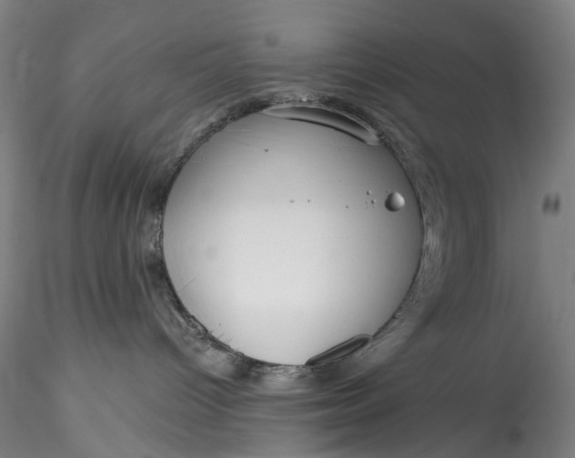 X0000115550096200911271444