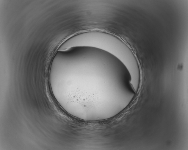 X0000115550097200911271443