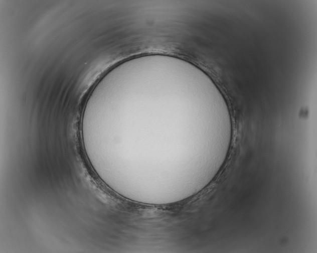 X0000115550098200911271443