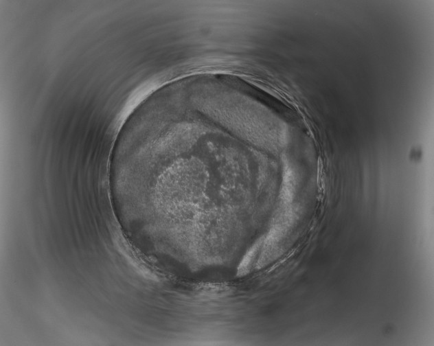 X0000115550099200911271443