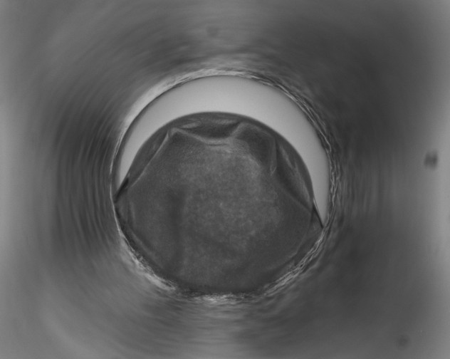 X0000115550100200911271443