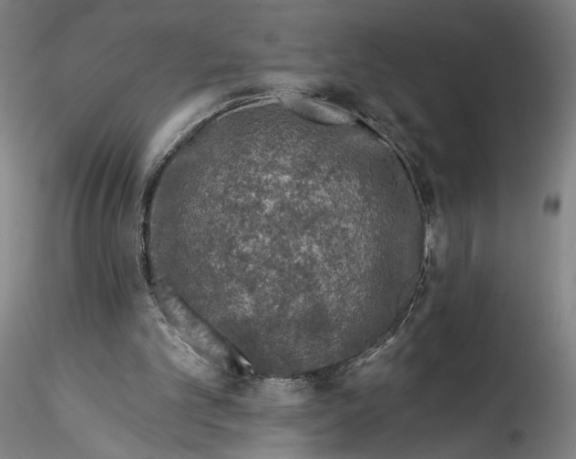 X0000115550101200911271443