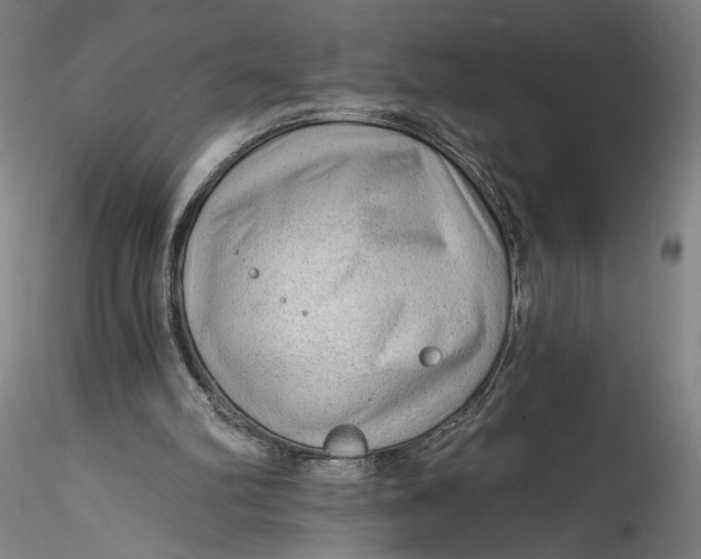 X0000115550102200911271443