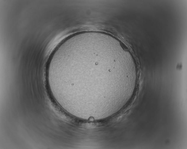 X0000115550103200911271443