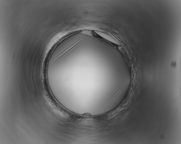 X0000115550104200911271443