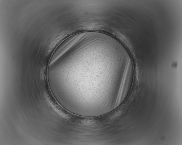 X0000115550105200911271443