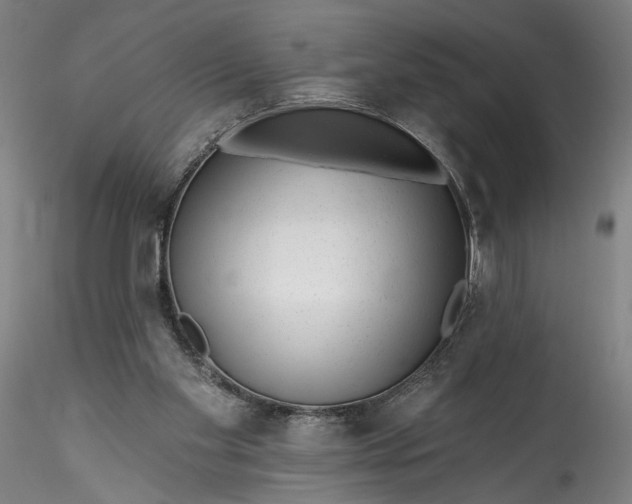 X0000115550109200911271443