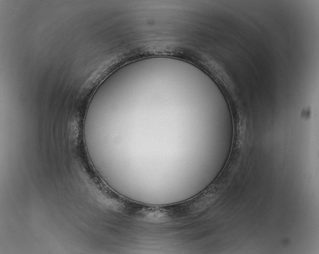 X0000115550113200911271443