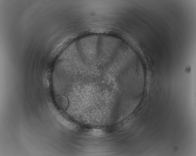 X0000115550114200911271443