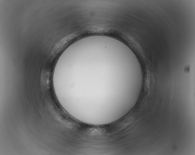 X0000115550115200911271443