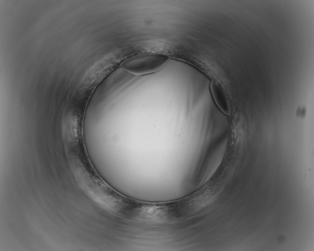 X0000115550117200911271443